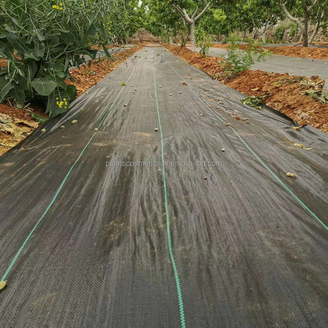 erosion control black geotextile PP Woven Fabric Silt Fence