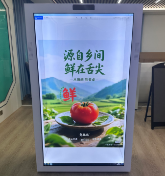 AI Human Box for Executive Office Digital Assistant