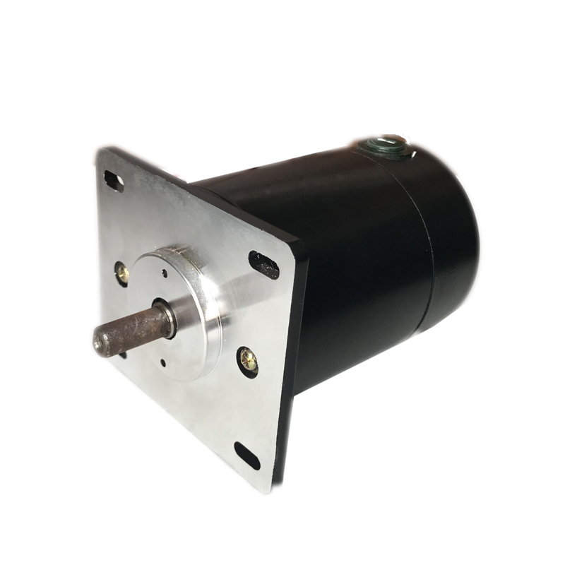 Dc Electric Motor