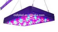 5W CIDLY LED series Professional Lighting,hydroponic led lights For Hydroponics