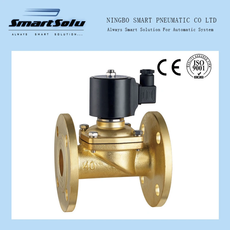 2W Series Flange Zero Differential Pressure Normally Closed Solenoid Valve