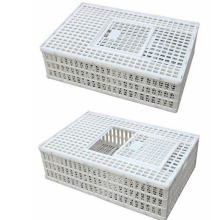 Agrieso Plastic Transport Cage for Poultry - Plastic Chicken Cages and Transport Boxes
