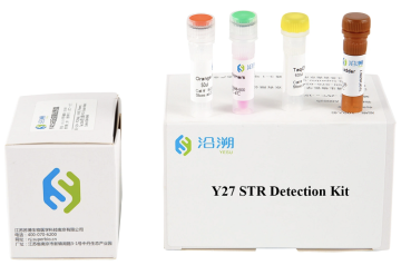 Y27 Plex STR Detection Kit