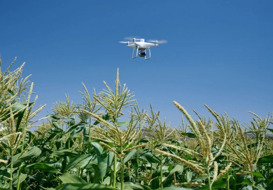 DJI P4 Multispectral mapping drone for Precision agriculture AND Environmental monitoring and inspection