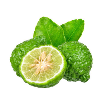 Minyak esensial bergamot terapeutik murni