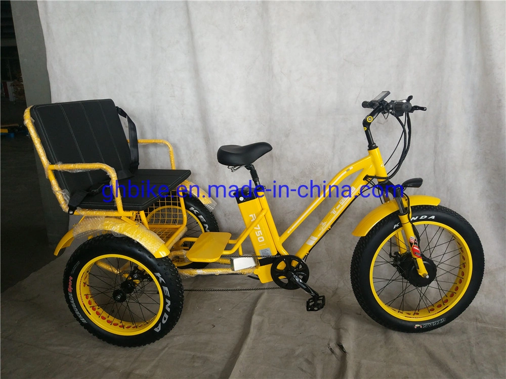 750W Adult 3 Three Wheels Cargo Bike Electric Fat Tricycle