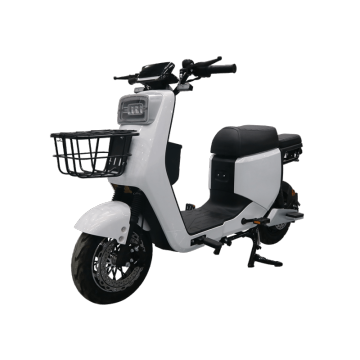 Fastest Electric Mopeds and Bikes with Hub Motors - 1000W Mopeds & Cargo Bikes