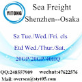 Shenzhen Port Sea Freight Shipping To Osaka