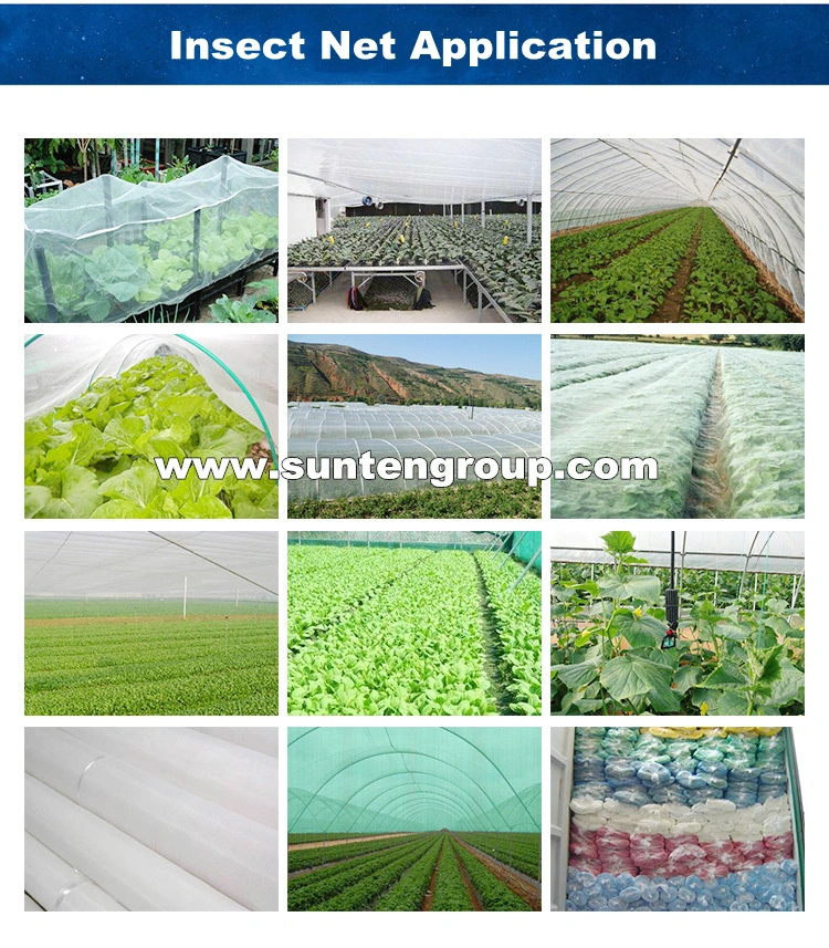 Factory Price HDPE/PE/Nylon/Plastic Vegetable Protection/Anti Mosquito/Malaria/Fly/Hail/Bee/Aphid/Insect Control/Proof Net for Agriculture/Greenhouse