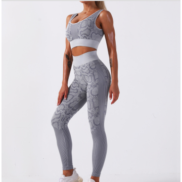 Yoga Leggings Sport Suit For Women Workout