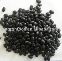 China small black bean