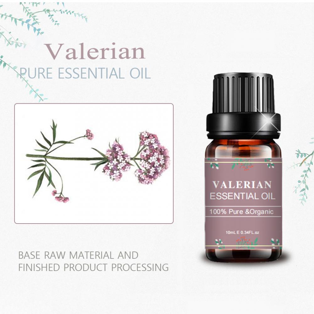 Natureza pura de alta qualidade Valerian Raiz Extract Oil Preço