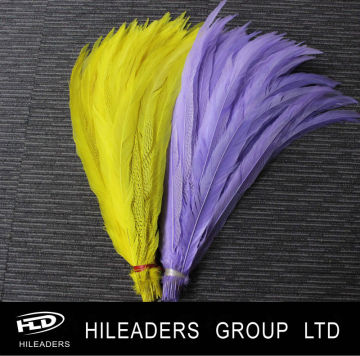 Decorative Dyed Silver Pheasant Feather