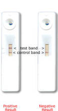 Influenza A (H1N1) Rapid Test