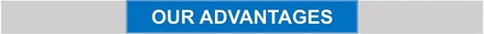OEM/ODM Molded EPDM/Vmq/FKM Rubber Seal