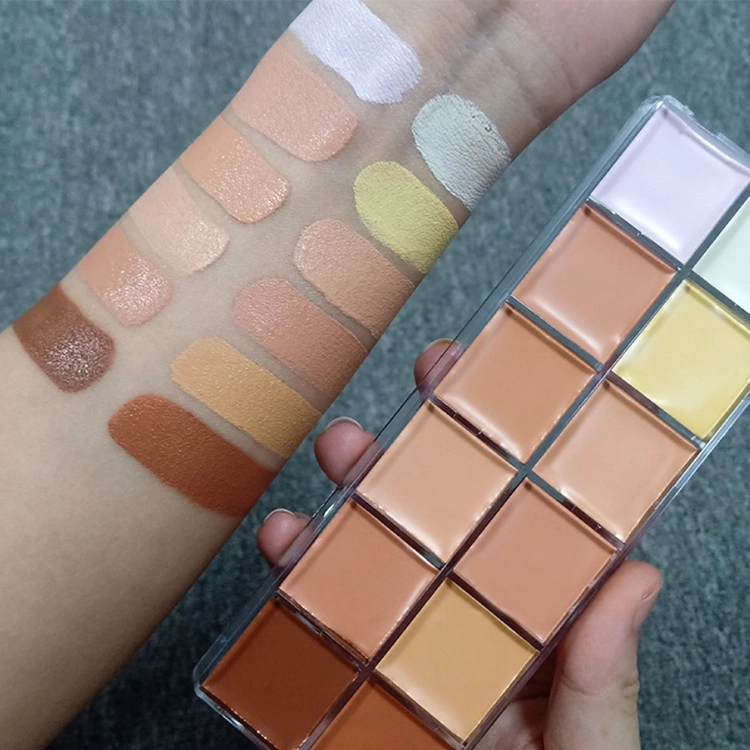 PRO Concealer Makeup 12 Color Full Coverage Concealer Private Label Concealer Pallete Makeup