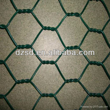 hexagonal wire mesh,hexagonal planting mesh screen|(factory)