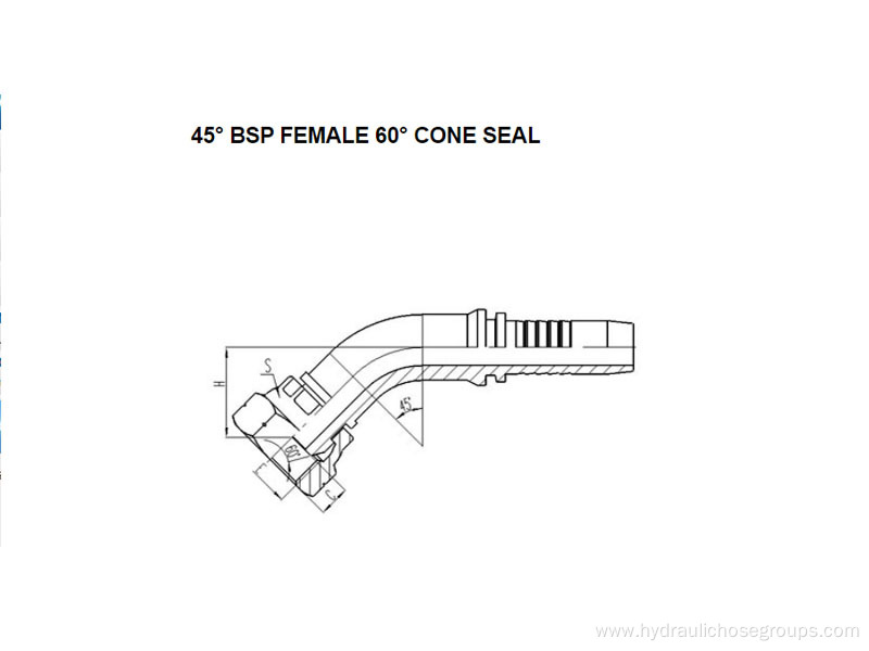 45° BSP Female 60° Cone Seal 22641