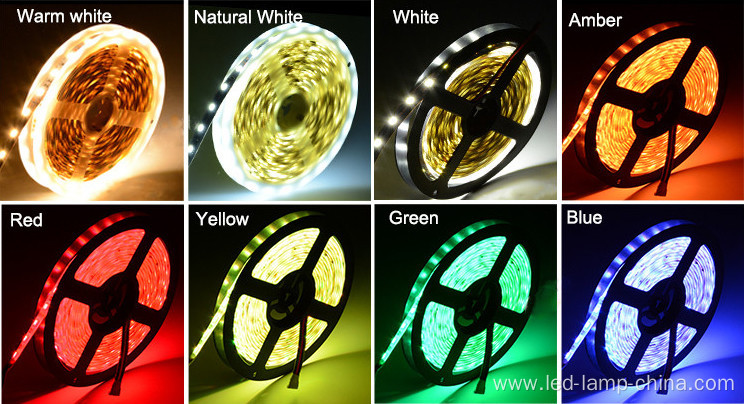 24V 5050SMD Flexible LED Strip