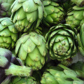 Artichoke Extract 3% artichoke acid