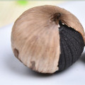 Where to Buy Black Garlic