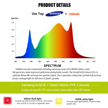 Aglex 320W สหรัฐหุ้น LM301B นำแสงเติบโต