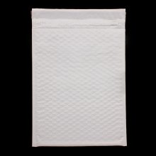 Shock Resistance Double Protective Courier Bag Manufacturers