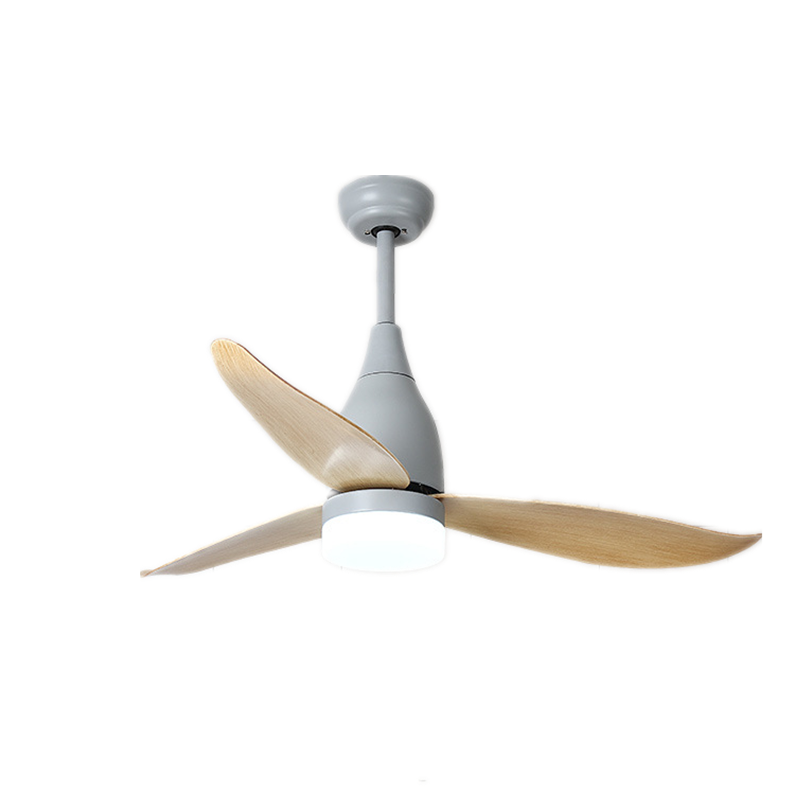 Decorative Best Ceiling Fans