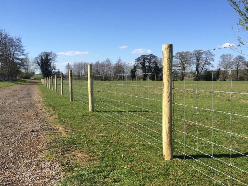 steel Farm filed fence hinge joint cattle fence