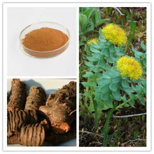 Natural Pure Rhodiola Rosea Root Extract Rosavin/Salidroside
