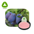 Poudre de fruits de prune foncée halal bio biologique naturel naturel