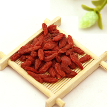 Βαθμολογία Φτηνές αποξηραμένα φρούτα Goji Berry Organic