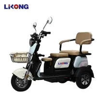 Easy-to-Ride Electric Tricycle for Seniors – Stable E-Rickshaw 600W