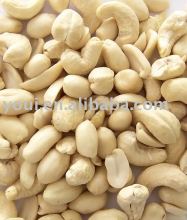 Salted Flavor Roasted Cashews and Peanuts Mix