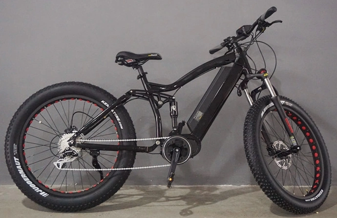 2020 Hot Sale Fat Bike Electric Mountain Bike/ Factory Sale Electric Bicycle