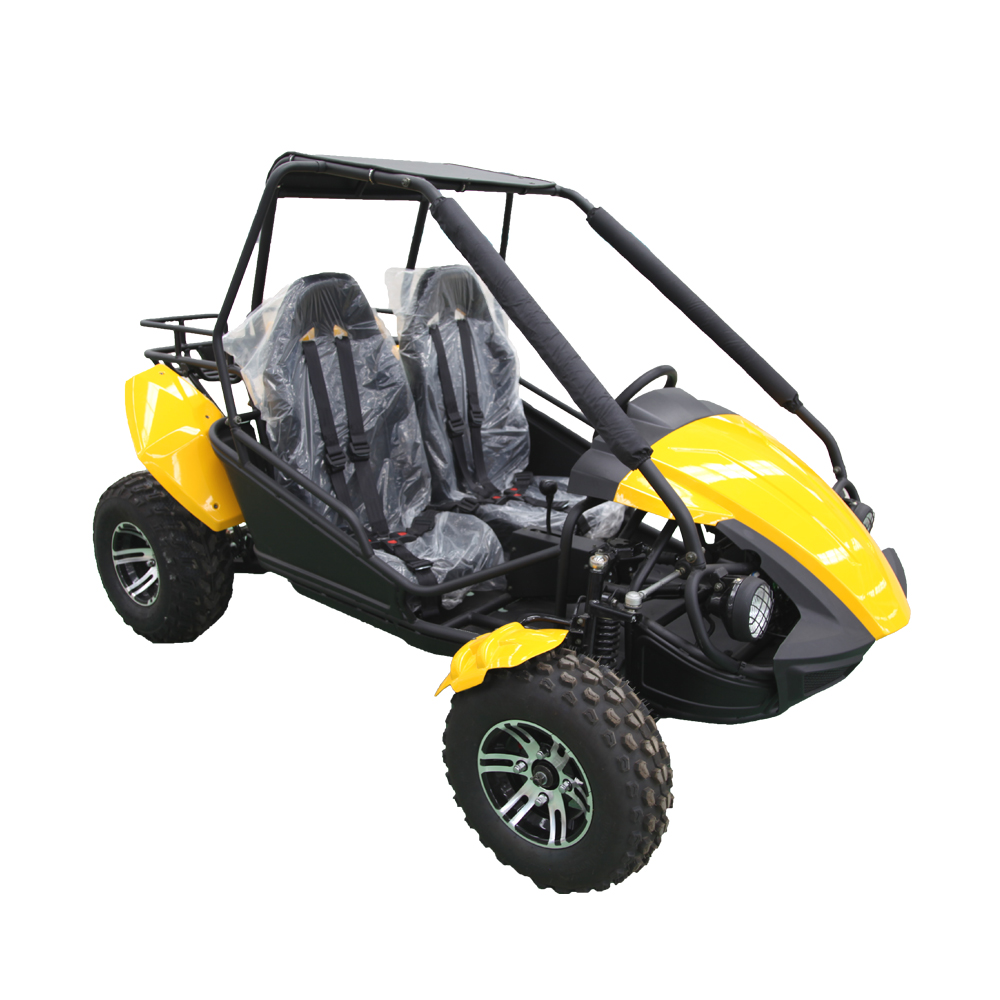 4 عجلات 150cc / 250cc الكثيب Buggy للبيع