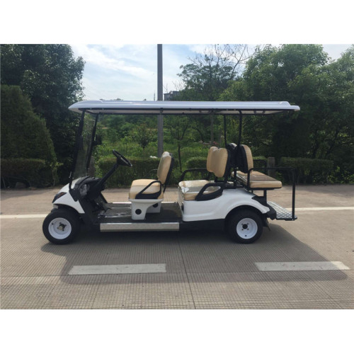 golfcar elettrica per uso familiare in vendita