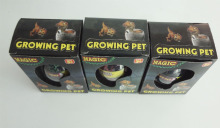 Growing black crack dinosaur eggs