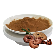 High Quality Ganoderma Lucidum Extract