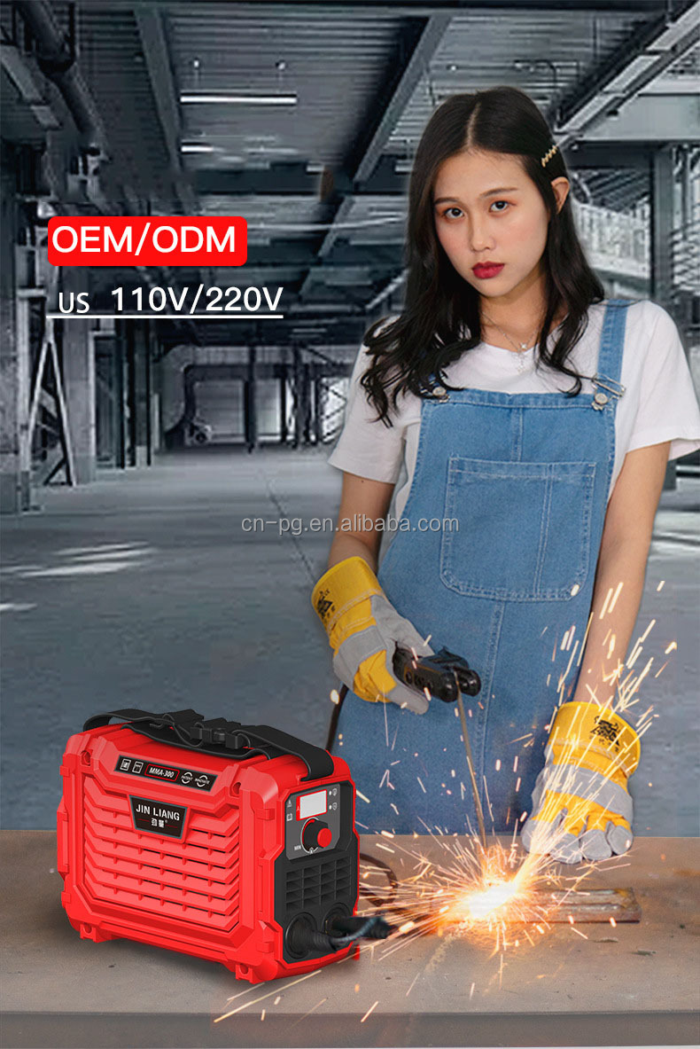 110V/220V Dual Voltage High Power Mini Welder MIG/MMA/TIG/Arc Igbt Inverter 250/300/315A Esab Ac Dc Copper Wire Welding Machine