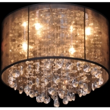 Modern Ceiling Lamp