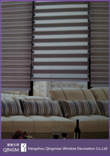 Discount Window Zebra Blinds Window Shades For Promotion