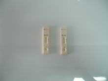 Pregnrdancy Test Devices