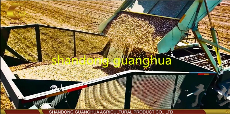 Blanched Peanut Kernels Split New Crop Good Quality Healthy