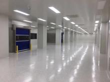 Pharmaceutical and Biological Purifying Cleanroom Project