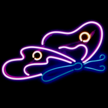 Butterfly neon sign LED