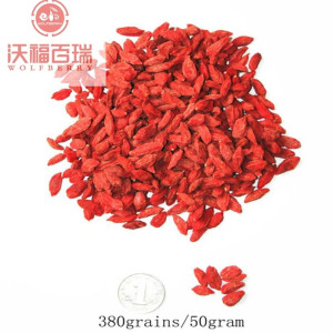 Wolfberry / Lycium Barbarum / 수퍼 푸드 goji berry