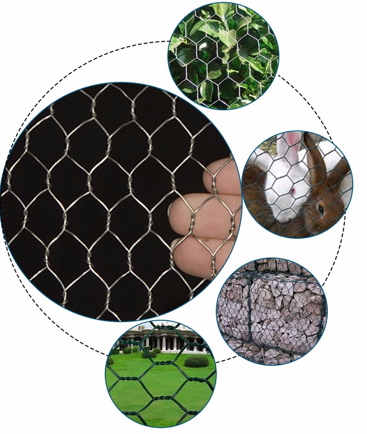 1/2" Galvanized Hexagonal Wire Mesh Chicken Wire  Mesh