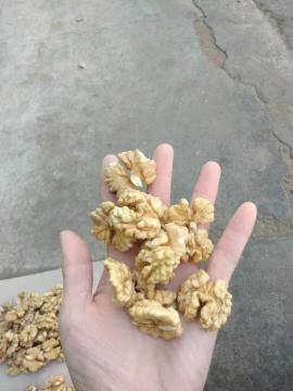 New Crop High Quality Shelled Raw Xin2 Walnuts