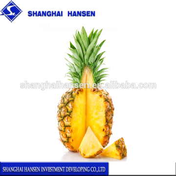 Fresh pineapple import agency china trade agent foreign trade